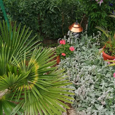 Rositsa Carevo